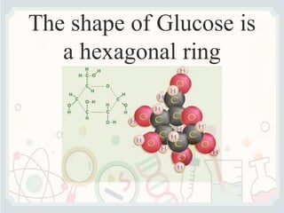 The shape of Glucose is
a hexagonal ring
 