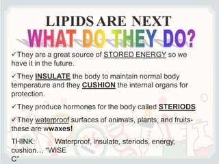 LIPIDSARE NEXT
They are a great source of STORED ENERGY so we
have it in the future.
They INSULATE the body to maintain normal body
temperature and they CUSHION the internal organs for
protection.
They produce hormones for the body called STERIODS
They waterproof surfaces of animals, plants, and fruits-
these are wwaxes!
THINK: Waterproof, insulate, steriods, energy,
cushion… “WISE
C”
 