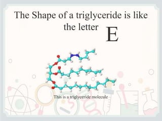 The Shape of a triglyceride is like
the letter
E
This is a triglyceride molecule
 