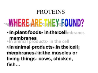 PROTEINS
• In plant foods- in the cell
membranes
• In animal products- in the cell
membranes- in the muscles or
living things- cows, chicken,
fish…
 