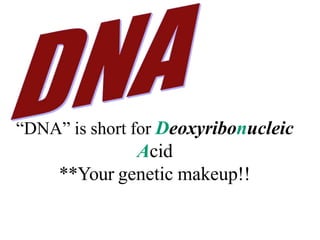 “DNA” is short for Deoxyribonucleic
Acid
**Your genetic makeup!!
 
