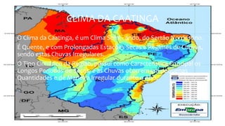 CLIMA DA CAATINGA
O Clima da Caatinga, é um Clima Semi - árido, do Sertão Nordestino.
É Quente, e com Prolongadas Estações Secas e Regimes de Chuvas,
sendo estas Chuvas Irregulares.
O Tipo Climático da Região, possui como Característica Principal os
Longos Períodos de Secas, e as Chuvas ocorrem em pequenas
Quantidades e de Maneira Irregular durante o Ano.
 