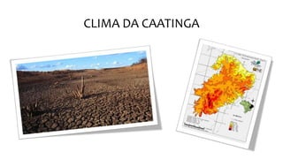 CLIMA DA CAATINGA
 