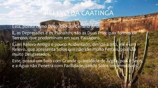 RELEVO DA CAATINGA
Esta, possui como Descrição um Cenário Árido.
E, as Depressões e os Planaltos, são as Duas Principais formas de
Terreno, que predominam em suas Paisagens.
É um Relevo Antigo e pouco Acidentado, devido a isto, ele é um
Relevo, que apresenta Solos que não são muito Férteis, pois são
muito Desgastados.
Este, possui um Solo com Grande quantidade de Argila, pois é Seco,
e a Água não Penetra com Facilidade, sendo Solos Impermeáveis.
 