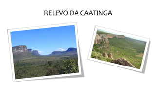 RELEVO DA CAATINGA
 