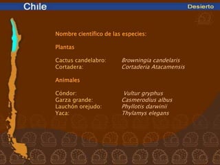 Nombre científico de las especies:

Plantas

Cactus candelabro:      Browningia candelaris
Cortadera:              Cortaderia Atacamensis

Animales

Cóndor:                  Vultur gryphus
Garza grande:           Casmerodius albus
Lauchón orejudo:        Phyllotis darwinii
Yaca:                   Thylamys elegans
 