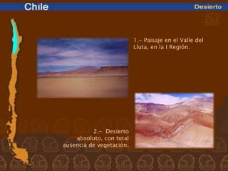 1.- Paisaje en el Valle del
                          Lluta, en la I Región.




          2.- Desierto
    absoluto, con total
ausencia de vegetación.
 