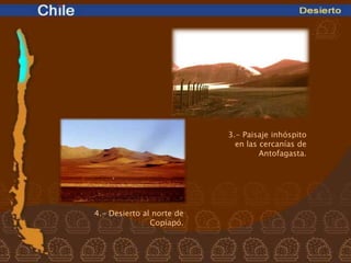 3.- Paisaje inhóspito
                             en las cercanías de
                                    Antofagasta.




4.- Desierto al norte de
               Copiapó.
 