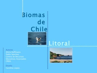 Biomas  de  Chile Litoral Autores Alicia Hoffmann. Pablo Sánchez. Centro de Recursos Educativos Avanzados CREA. Diseño Carolina López. 