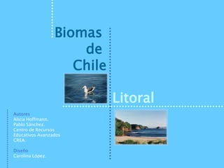 Biomas
                      de
                     Chile

                             Litoral
Autores
Alicia Hoffmann.
Pablo Sánchez.
Centro de Recursos
Educativos Avanzados
CREA.

Diseño
Carolina López.
 
