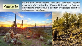 Vegetação
Os desertos normalmente têm uma cobertura vegetal
esparsa porém muito diversificada. O deserto de Sonora,
no sudoeste americano, é o que tem a vegetação desértica
mais complexa da Terra.
 