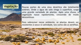 Vegetação Poucas partes de uma área desértica são totalmente
estéreis. Onde a água do solo chega à superfície, surge
uma grande variedade de plantas. Após uma chuva, a
vegetação nasce rapidamente, crescendo de modo
descontínuo.
Para sobreviver nesse ambiente, as plantas devem ser
resistentes à seca e à salinidade, tais como são as xerófitas.
 