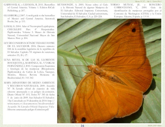 Bulletin Of The Florida Museum Of Natural History Volume Bulletin Of The Florida Museum Of Natural History Volume
