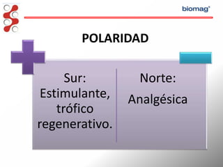 biomag.pptx