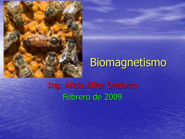 Biomagnetismo
Ing. Alicia Allier Ondarza
Febrero de 2009
 