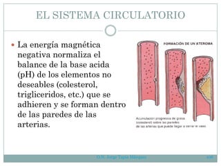 O.N. Jorge Tapia Márquez 106
EL SISTEMA CIRCULATORIO
 La energía magnética
negativa normaliza el
balance de la base acida
(pH) de los elementos no
deseables (colesterol,
trigliceridos, etc.) que se
adhieren y se forman dentro
de las paredes de las
arterias.
 