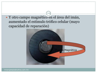  Y otro campo magnético en el área del imán,
aumentado el estimulo trófico celular (mayo
capacidad de reparación)
Fuerza Magnética
146
mnjorgetapia@yahoo.com.mx
 