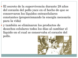  El secreto de la supervivencia durante 28 años
del corazón del pollo yace en el hecho de que se
conservaron los líquidos extracelulares
constantes (proporcionando la energía necesaria
para la vida)
 y también se eliminaron los productos de
desechos celulares todos los días al cambiar el
líquido en el cual se conservaba el corazón del
pollo.
 