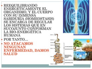  REEQUILIBRANDO
ENERGETICAMENTE EL
ORGANISMO, Y EL CUERPO
CON SU INMENSA
SABIDURÍA (HOMEOSTASIS)
SE ENCARGA DE REGULAR
LOS SISTEMAS QUE EN
SUCOJUNTO CONFORMAN
LA BIO-ENERGÉTICA
HUMANA
 POR TANTO…
 NO ATACAMOS
NINGUNAN
ENFERMEDAD, DAMOS
SALUD
 