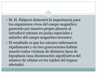  M. H. Halpern demostró la importancia para
los organismos vivos del campo magnético
generado por nuestro propio planeta al
introducir ratones en jaulas especiales y
aislarles del campo magnético terrestre.
 El resultado es que los ratones enfermaron
rápidamente y en tres generaciones habían
muerto todos víctimas de distintos tipos de
hipoplasia (una disminución significativa del
número de células en los tejidos del órgano
afectado).
57
Lic.
JORGE
TAPIA
MÁRQU
EZ
 