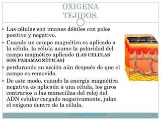 OXIGENA
TEJIDOS.
 Las células son imanes débiles con polos
positivo y negativo.
 Cuando un campo magnético es aplicado a
la célula, la célula asume la polaridad del
campo magnético aplicado (LAS CELULAS
SON PARAMAGNÉTICAS)
 perdurando su acción aún después de que el
campo es removido.
 De este modo, cuando la energía magnética
negativa es aplicada a una célula, los giros
contrarios a las manecillas del reloj del
ADN celular cargado negativamente, jalan
el oxígeno dentro de la célula.
O.N. Jorge Tapia Márquez 95
 