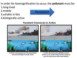 In order for biomagnification to occur, the pollutant must be:
1.long-lived
2.mobile
3.soluble in fats
4.biologically active
Persistent
 