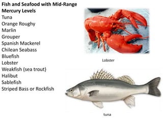 Fish and Seafood with Mid-Range
Mercury Levels
Tuna
Orange Roughy
Marlin
Grouper
Spanish Mackerel
Chilean Seabass
Bluefish
Lobster
Weakfish (sea trout)
Halibut
Sablefish
Striped Bass or Rockfish
Lobster
tuna
 