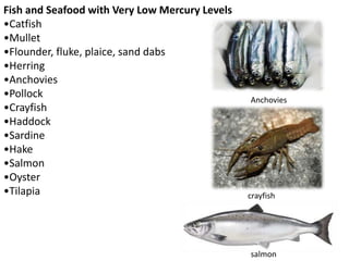 Fish and Seafood with Very Low Mercury Levels
•Catfish
•Mullet
•Flounder, fluke, plaice, sand dabs
•Herring
•Anchovies
•Pollock
•Crayfish
•Haddock
•Sardine
•Hake
•Salmon
•Oyster
•Tilapia crayfish
salmon
Anchovies
 