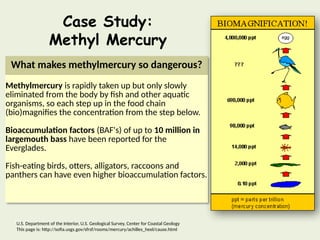 What makes methylmercury so dangerous?
Methylmercury is rapidly taken up but only slowly
eliminated from the body by fish and other aquatic
organisms, so each step up in the food chain
(bio)magnifies the concentration from the step below.
Bioaccumulation factors (BAF's) of up to 10 million in
largemouth bass have been reported for the
Everglades.
Fish-eating birds, otters, alligators, raccoons and
panthers can have even higher bioaccumulation factors.
U.S. Department of the Interior, U.S. Geological Survey, Center for Coastal Geology
This page is: http://sofia.usgs.gov/sfrsf/rooms/mercury/achilles_heel/cause.html
Case Study:
Methyl Mercury
 