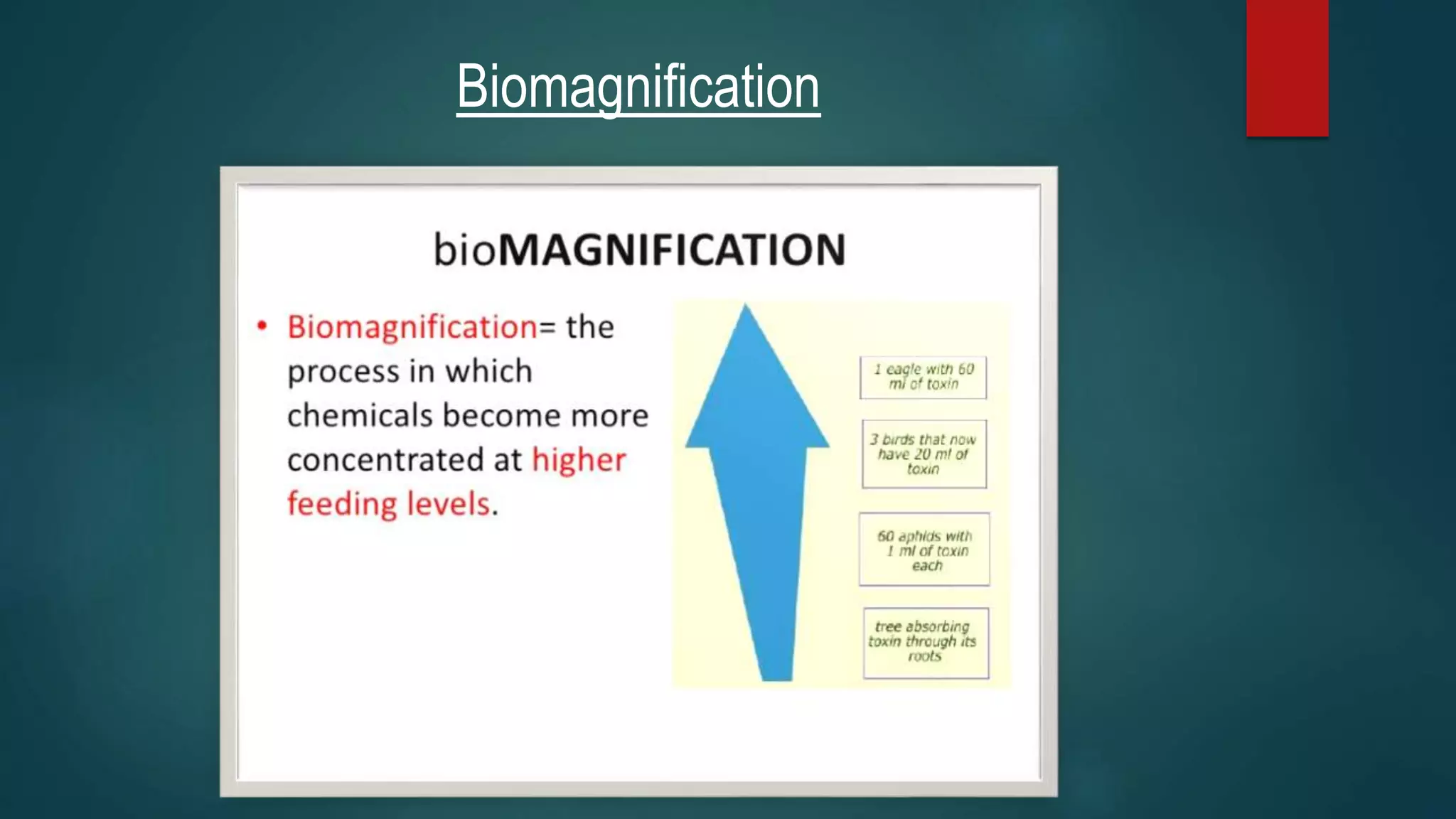 Biomagnification[1] | PPTX