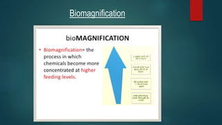 Biomagnification
 