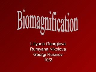 Lillyana Georgieva Rumyana Nikolova Georgi Rusinov 10/2 Biomagnification 