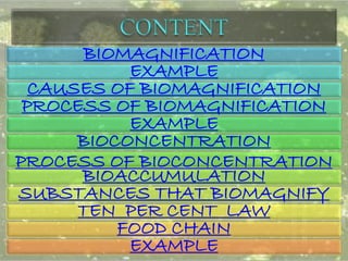 Biomagnification and 10% law | PPTX
