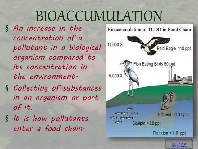 Biomagnification and 10% law