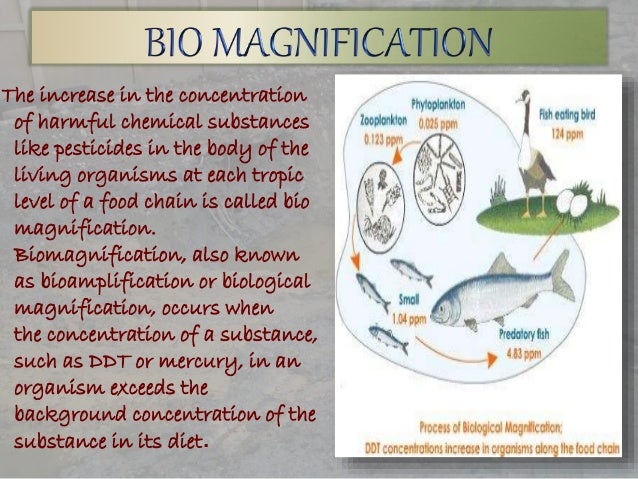 Biomagnification and 10% law