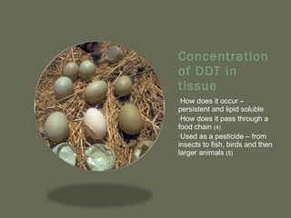 Concentration of DDT in tissue <ul><li>How does it occur – persistent and lipid soluble  </li></ul><ul><li>How does it pas...