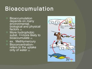 Bioaccumulation <ul><li>Bioaccumulation depends on many environmental, biological and physical factors  (3) </li></ul><ul>...