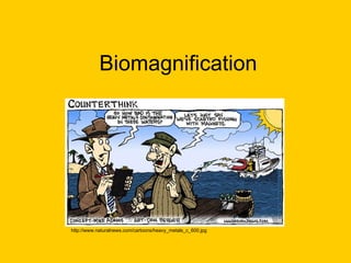 Biomagnification http://www.naturalnews.com/cartoons/heavy_metals_c_600.jpg 