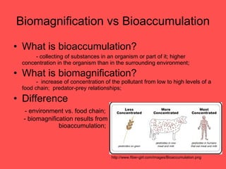 Biomagnification victoria,sylvia,violetta