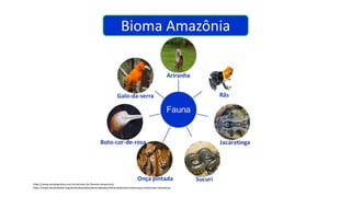 Bioma Amazônia
https://www.estudopratico.com.br/animais-da-floresta-amazonica/
https://www.dendrobates.org/dendrobatoidea/dendrobatidae/dendrobatinae/ranitomeya/ranitomeya-fantastica/
 