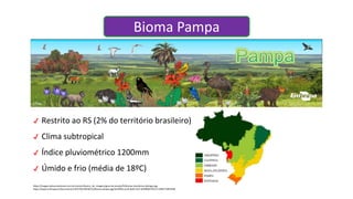 ✔ Restrito ao RS (2% do território brasileiro)
✔ Clima subtropical
✔ Índice pluviométrico 1200mm
✔ Úmido e frio (média de 18ºC)
Bioma Pampa
https://images.educamaisbrasil.com.br/content/banco_de_imagens/guia-de-estudo/D/biomas-brasileiros-biologia.jpg
https://www.embrapa.br/documents/1355746/18536513/bioma-pampa.jpg/3a53ff9a-ecd3-6e63-f1e7-829f8fd57f3c?t=1496773853508
 