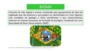 https://4.bp.blogspot.com/-G43p04VQ2Ts/VfldRLPeZ4I/AAAAAAAAFCk/FAgvB6HeX_8/s1600/6243505_Bandeira_do_Brasil_1-_By_Digerson_Araaujo__%25281%2529.JPG
Conjunto de vida vegetal e animal, constituído pelo agrupamento de tipos de
vegetação que são próximos e que podem ser identificados em nível regional,
com condições de geologia e clima semelhantes e que, historicamente,
sofreram os mesmos processos de formação da paisagem, resultando em uma
diversidade de flora e fauna própria. (IBGE)
BIOMA
 