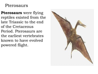 Pterosaurs
Pterosaurs were flying
reptiles existed from the
late Triassic to the end
of the Cretaceous
Period. Pterosaurs are
the earliest vertebrates
known to have evolved
powered flight.

 