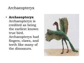 Archaeopteryx
• Archaeopteryx
Archaeopteryx is
credited as being
the earliest known
true bird.
Archaeopteryx had
fingers, claws, and
teeth like many of
the dinosaurs.

 