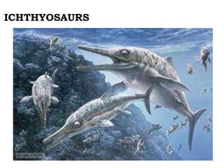 ICHTHYOSAURS

 
