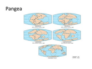 Pangea

 