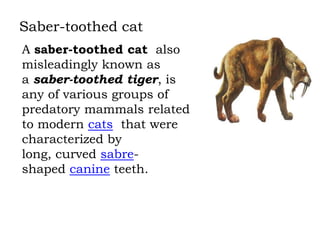 Saber-toothed cat
A saber-toothed cat also
misleadingly known as
a saber-toothed tiger, is
any of various groups of
predatory mammals related
to modern cats that were
characterized by
long, curved sabreshaped canine teeth.

 