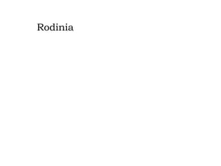Rodinia

 