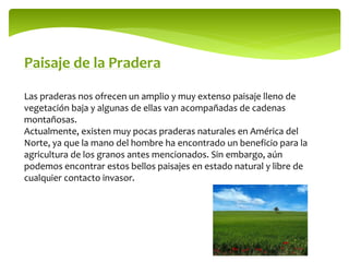 Paisaje de la Pradera
Las praderas nos ofrecen un amplio y muy extenso paisaje lleno de
vegetación baja y algunas de ellas van acompañadas de cadenas
montañosas.
Actualmente, existen muy pocas praderas naturales en América del
Norte, ya que la mano del hombre ha encontrado un beneficio para la
agricultura de los granos antes mencionados. Sin embargo, aún
podemos encontrar estos bellos paisajes en estado natural y libre de
cualquier contacto invasor.
 