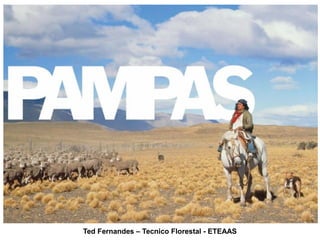 Ted Fernandes – Tecnico Florestal - ETEAAS
 